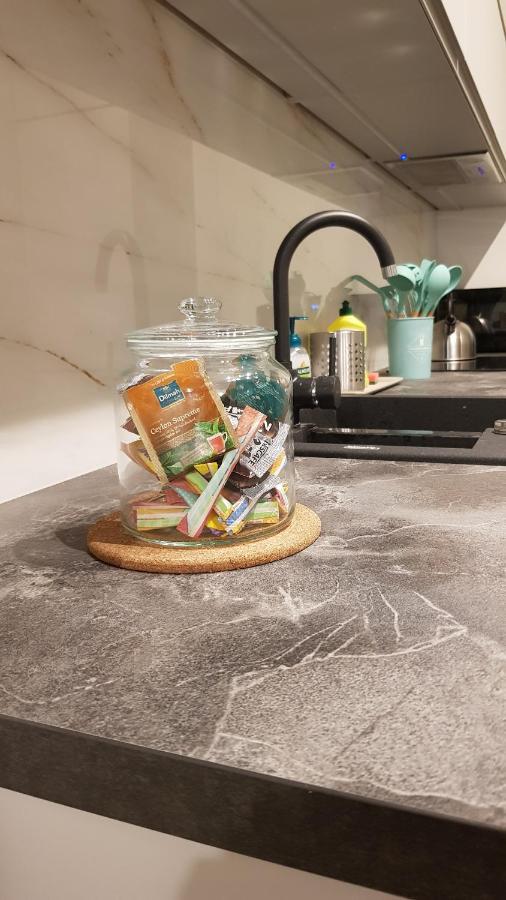 Venice Villa Apartment, Self Check-In 24H, Free Parking 포즈난 외부 사진