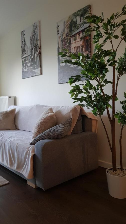 Venice Villa Apartment, Self Check-In 24H, Free Parking 포즈난 외부 사진