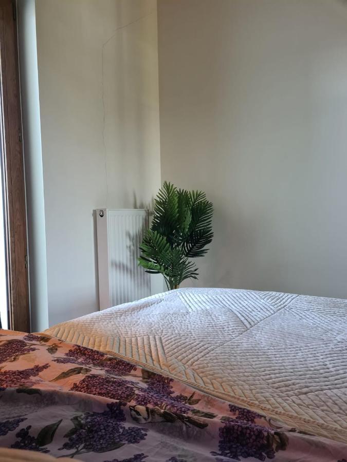 Venice Villa Apartment, Self Check-In 24H, Free Parking 포즈난 외부 사진