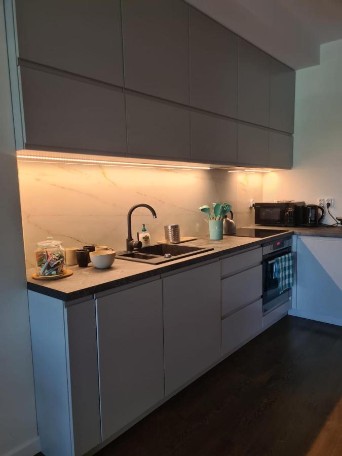 Venice Villa Apartment, Self Check-In 24H, Free Parking 포즈난 외부 사진